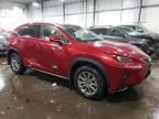 2020 Lexus NX 300