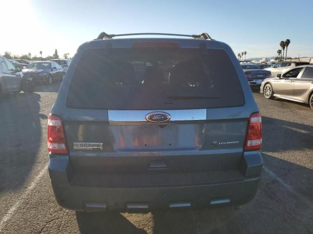 2010 Ford Escape Hybrid