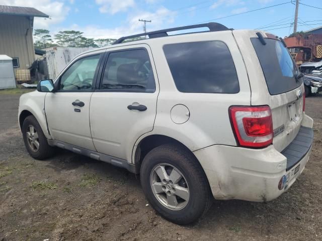 2009 Ford Escape XLT