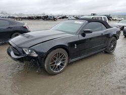 Salvage cars for sale from Copart Earlington, KY: 2012 Ford Mustang Shelby GT500