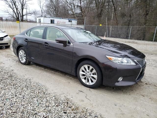 2013 Lexus ES 300H