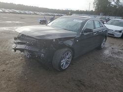 Salvage cars for sale from Copart Harleyville, SC: 2024 Cadillac CT4 Luxury +