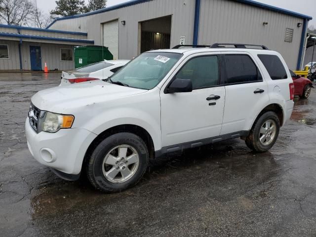 2011 Ford Escape XLT