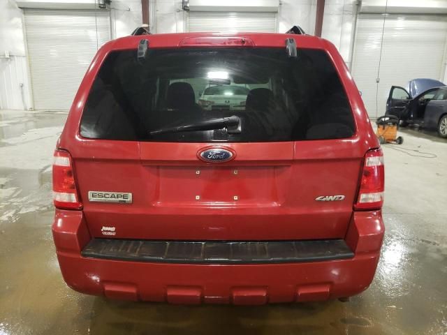 2009 Ford Escape XLT