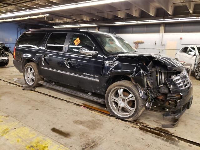 2010 Cadillac Escalade ESV Premium