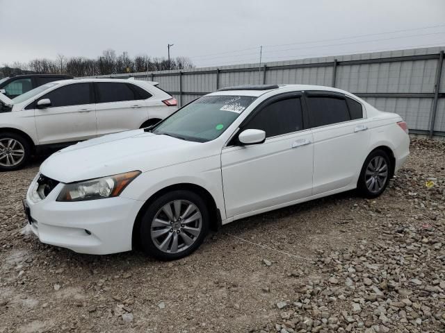 2011 Honda Accord EXL