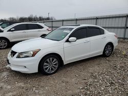 Salvage cars for sale from Copart Lawrenceburg, KY: 2011 Honda Accord EXL