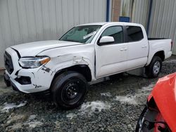 Salvage cars for sale from Copart Waldorf, MD: 2023 Toyota Tacoma Double Cab