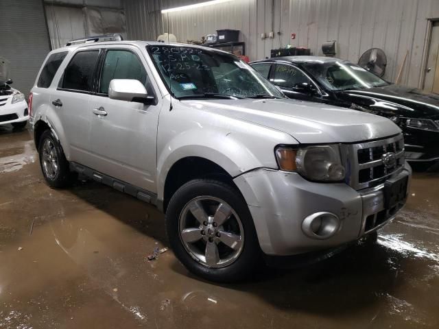 2009 Ford Escape Limited