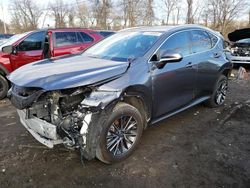 Salvage cars for sale at Marlboro, NY auction: 2023 Lexus NX 350H