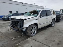 Salvage cars for sale from Copart Farr West, UT: 2008 Cadillac Escalade Luxury