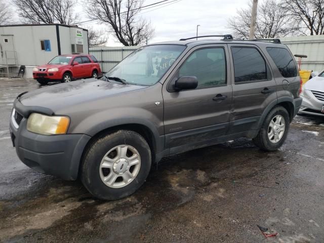 2002 Ford Escape XLT