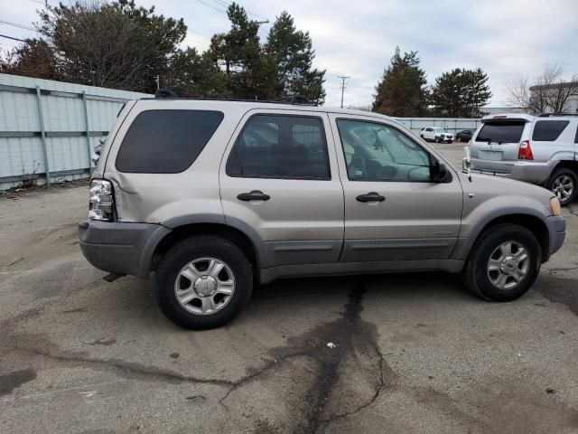 2001 Ford Escape XLT