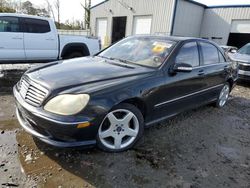 Mercedes-Benz S 430 salvage cars for sale: 2005 Mercedes-Benz S 430