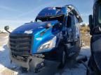 2023 Freightliner Cascadia 126