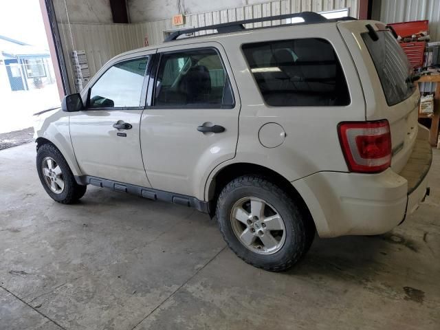 2011 Ford Escape XLT