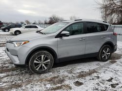 Salvage cars for sale from Copart London, ON: 2016 Toyota Rav4 XLE