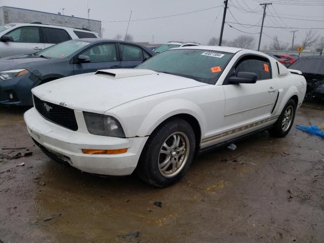 2005 Ford Mustang