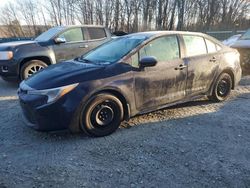 Salvage cars for sale from Copart Candia, NH: 2023 Toyota Corolla LE