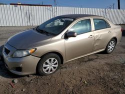 Toyota salvage cars for sale: 2010 Toyota Corolla Base