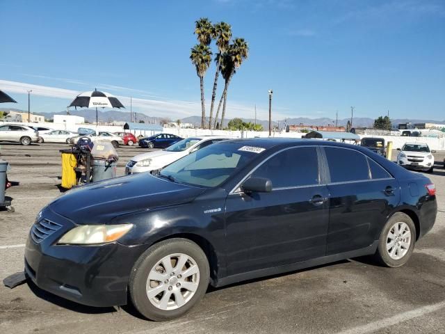 2009 Toyota Camry Hybrid