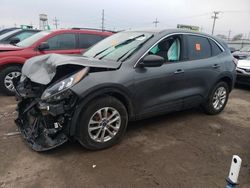 Salvage cars for sale at Chicago Heights, IL auction: 2022 Ford Escape SE