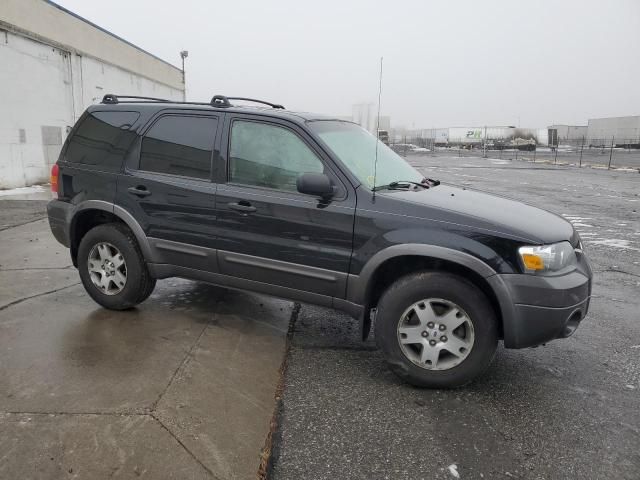 2005 Ford Escape XLT