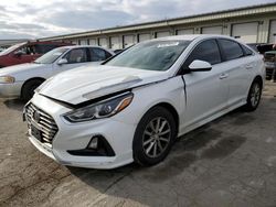 Salvage cars for sale at Louisville, KY auction: 2018 Hyundai Sonata SE