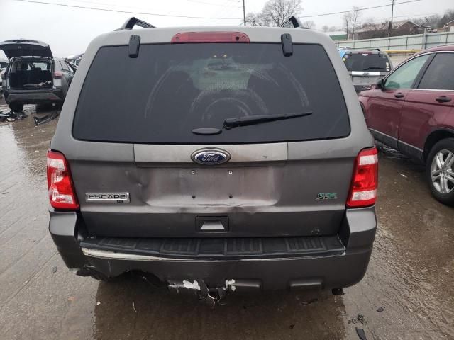 2011 Ford Escape XLT