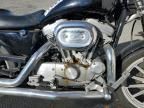 1999 Harley-Davidson XL883