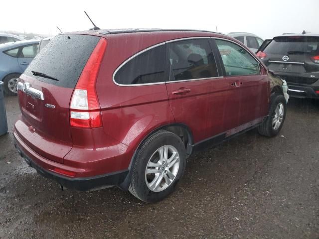 2010 Honda CR-V EXL