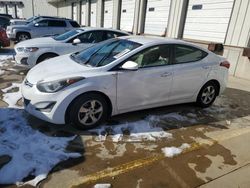 Salvage cars for sale at Louisville, KY auction: 2015 Hyundai Elantra SE