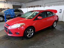 Ford Focus SE salvage cars for sale: 2013 Ford Focus SE