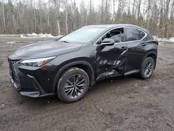 Salvage cars for sale from Copart Bowmanville, ON: 2023 Lexus NX 250