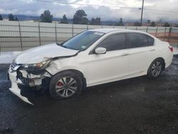 Honda salvage cars for sale: 2013 Honda Accord LX