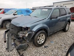 Salvage cars for sale at Wayland, MI auction: 2010 Ford Escape XLT