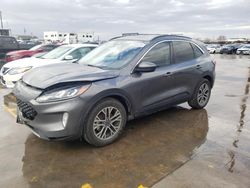 Ford Escape sel salvage cars for sale: 2021 Ford Escape SEL