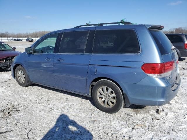 2008 Honda Odyssey EXL