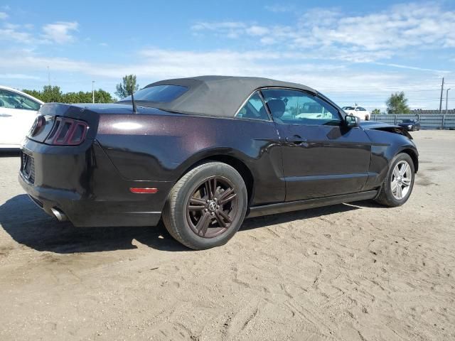 2013 Ford Mustang