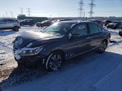 Salvage cars for sale from Copart Elgin, IL: 2014 Honda Accord LX