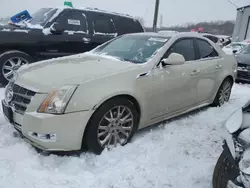 Salvage cars for sale at Chicago Heights, IL auction: 2011 Cadillac CTS Performance Collection