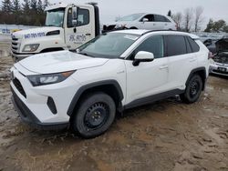 Salvage cars for sale from Copart Bowmanville, ON: 2019 Toyota Rav4 LE