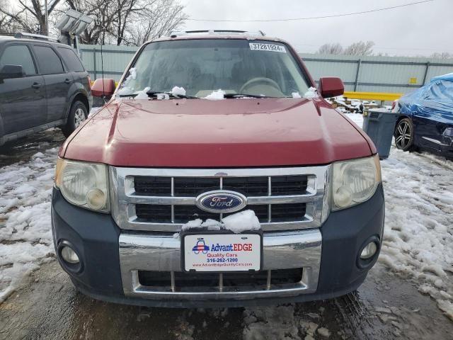 2011 Ford Escape Limited