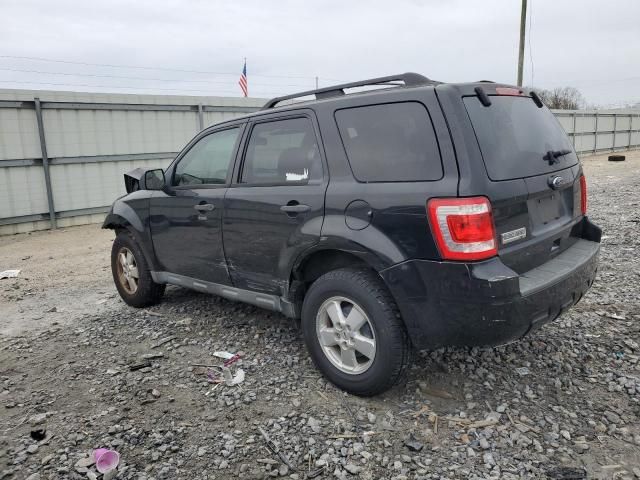 2010 Ford Escape XLT