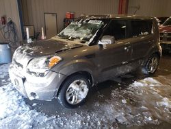 Salvage cars for sale at Milwaukee, WI auction: 2011 KIA Soul +
