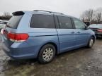 2010 Honda Odyssey EX