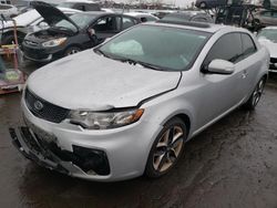 Salvage cars for sale at New Britain, CT auction: 2010 KIA Forte SX