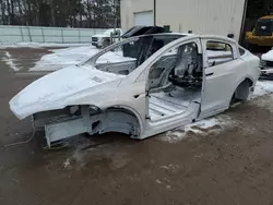 Salvage cars for sale at Ham Lake, MN auction: 2017 Tesla Model X