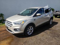 Salvage cars for sale from Copart Kapolei, HI: 2017 Ford Escape SE