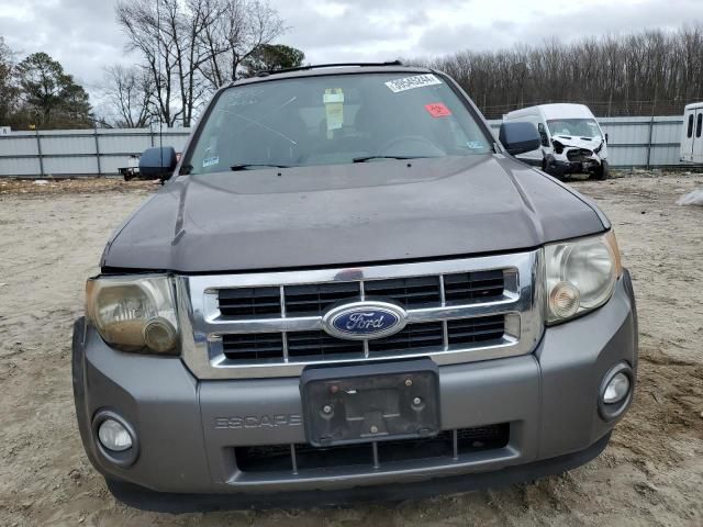 2010 Ford Escape XLT